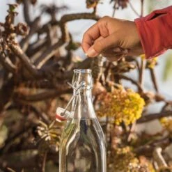 Katadyn Micropur Classic MC 1T 100 Tabletten -Outdoor-Ausrüstungsgeschäft rr500 840 1